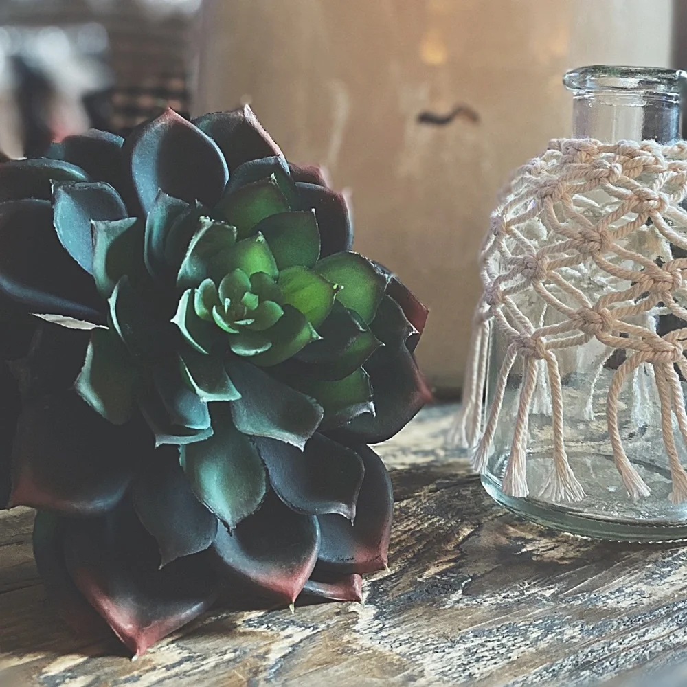 Artisan Macramé Wrapped Glass Bottle | Faux Echeveria Succulent | Boho Decor HP🌵